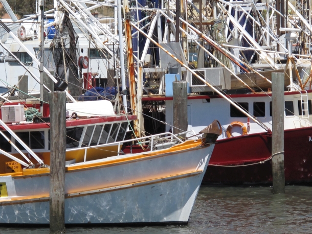 Fisheries Management Bill introduced